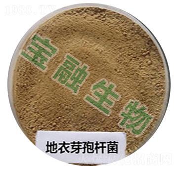 ����ѿ�ߗU��-��������