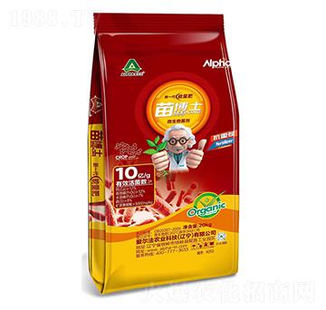 �粩ʿ΢�������-�۠���