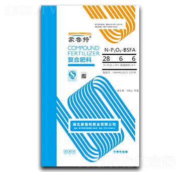 �ͺϷ���28-6-6��BSFA��-������-���׵�