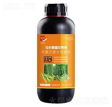 ���L(zh��ng)��ֱ���v�-���Q