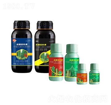 ��ֱ���L��-���Q