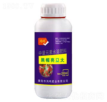 ��ñ���ִ�-���Q