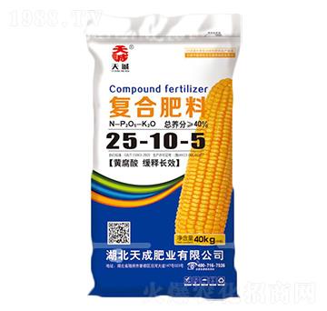 ���׌��ÏͺϷ���25-10-5-���-��˹��