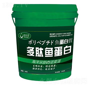 �����~����-������