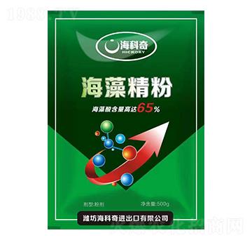 ���徫��-������