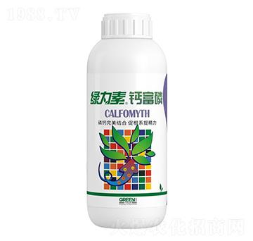 �G�����}����-�����ط�