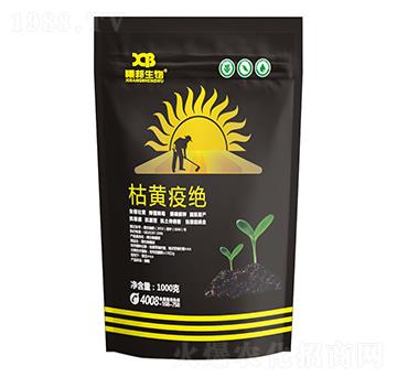 ���S�߽^-�ذ�����