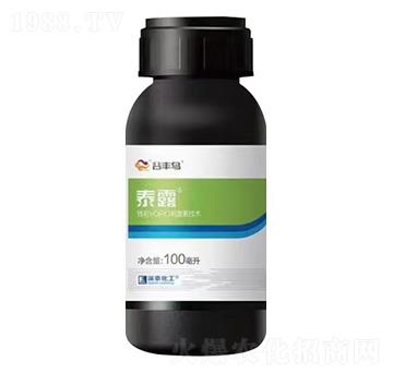 ̩¶�澳����-���S�B(ni��o)-��̩����