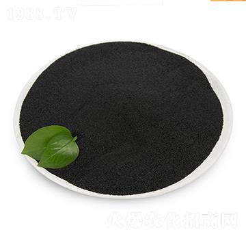 �S����-���B��