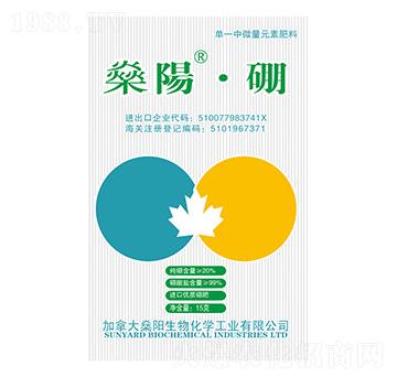 �M(j��n)�ڃ�(y��u)�|(zh��)���-���(y��ng)����-���(y��ng)����