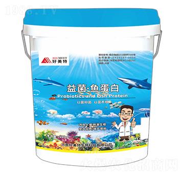 ������~����-������