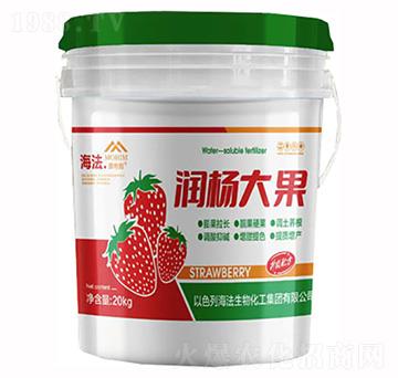 ������-����-�����S