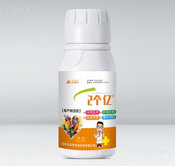 �߮a(ch��n)�̼���-2��(g��)�|-������