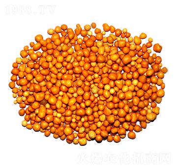 ����n�w����ጷ�15-7-13-ïʩ����