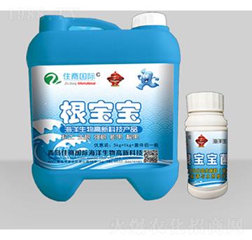 ������-ס�̇��H