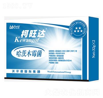 ����ľù��-�����_-�֠����r(n��ng)�I(y��)