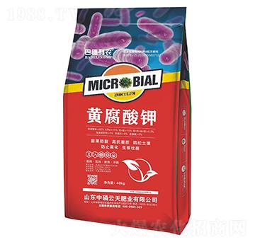 �S�����-�͵����r-��������