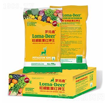 ��������t���(��)-�_��¹-���L