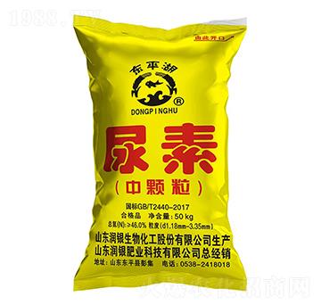 ���w������-�|ƽ��-���y����