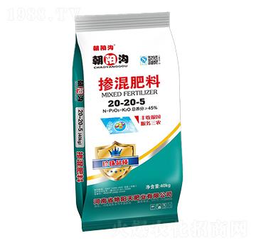 �������20-20-5-��ꖜ�-�G���ʘI(y��)