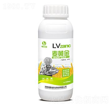 ���S��-�Gٝ�\(ch��ng)�r(n��ng)�I(y��)