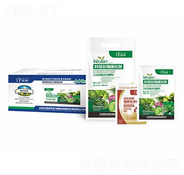 �~�˶�S���L��-嫰�����