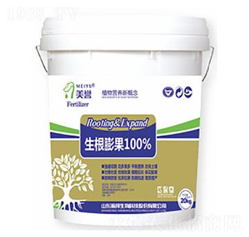 �������-嫰�����