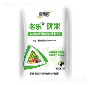 500g��������(x��)���I�B(y��ng)�ޏ�(f��)��-�Ϙ���(y��u)��-��?sh��)°? />
                                </div>
                            </div>
                            
                            <style type=