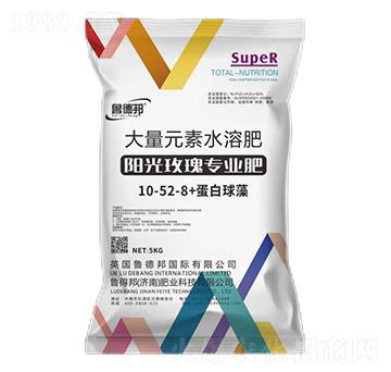 陽(yáng)光玫瑰專(zhuān)用大量元素水溶肥料10-52-8+蛋白球藻-魯?shù)掳? />
                                </div>
                            </div>
                            
                            <style type=