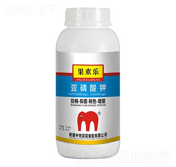 �������-���g��-����ú