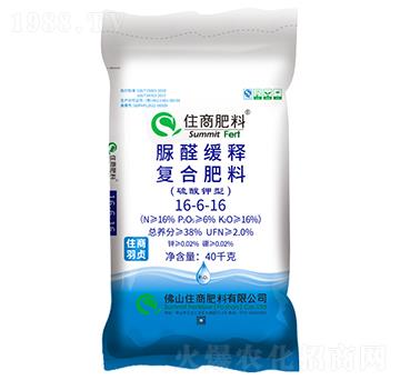 ��ȩ��ጏͺϷ���16-