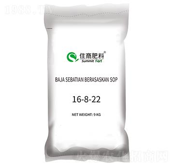 �ͺϷ���16-8-22