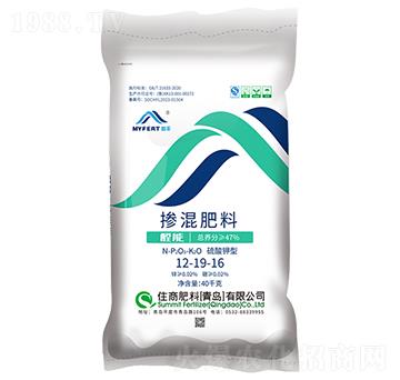 ���S��ጓ����12-1