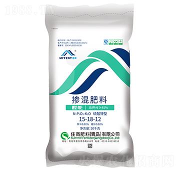 ���S��ጓ����15-1