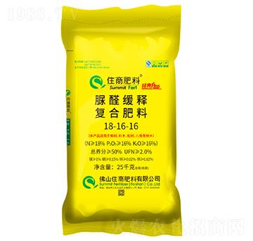 ���������ȩ��ጏͺϷ�