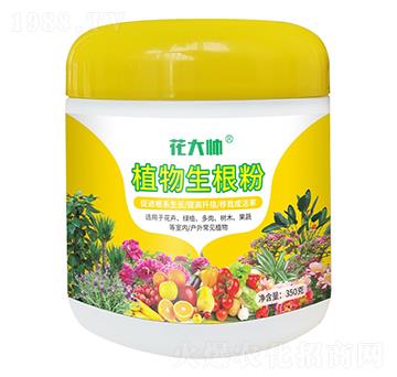 ֲ��������-����-�G�ַʘI(y��)