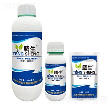 ����֬���S����E-�v��-�õ���