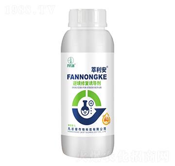 �澳�ޏ�(f��)�T��(d��o)��-������-���r(n��ng)��