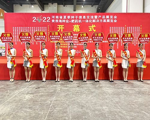 �����]�����Ĵ������������L(f��ng)�ɱM�@��