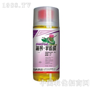 ɽ�|��Ԫ-���������