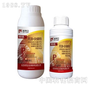 ����-����