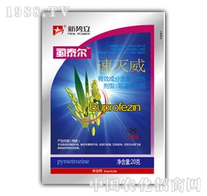 ����-ʭ̩��