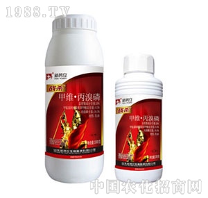 ����-��(zh��n)��