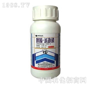 �n��-��ບ�����