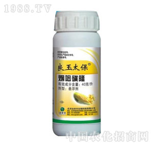 �Gɫ�r�A-����̫��