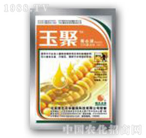 �Gɫ�r�A-��ۡ�����՚�