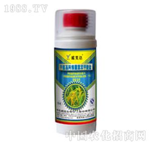 ���h(yu��n)����-�����_(d��)��1.1%�װ������S���ر������}���ͣ�