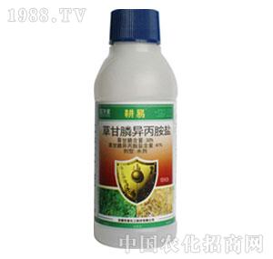 �A��-41%�ݸ�좮������}AS�����ף�