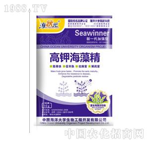 ����Ԫ-��⛺��徫